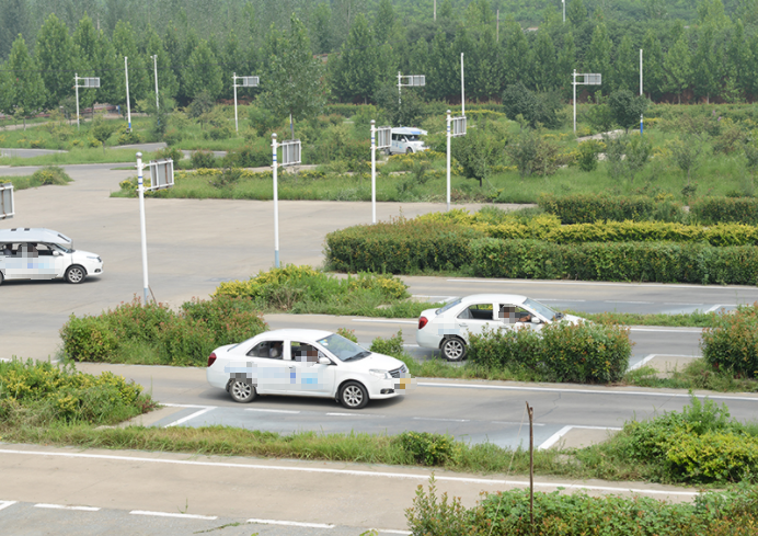 龙湾区学车报名